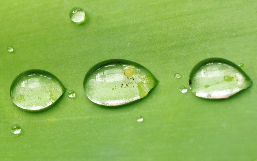 Reflective Droplets